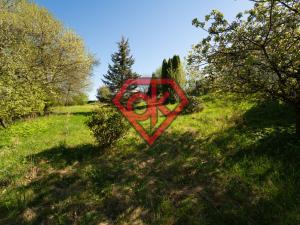 Prodej pozemku pro bydlení, Rybník, 1928 m2