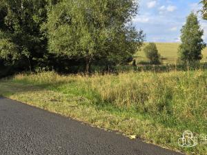 Prodej pozemku, Rovná, 8130 m2