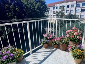 Prodej bytu 4+1, Pardubice - Zelené Předměstí, Sokolovská, 113 m2