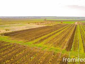 Prodej pozemku pro bydlení, Moravský Žižkov, 2723 m2