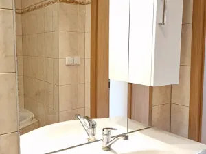 Pronájem bytu 2+kk, Libčice nad Vltavou, Družstevní, 44 m2