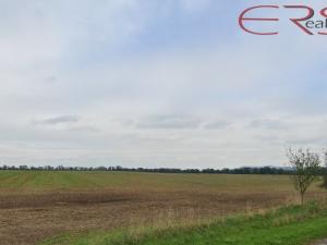 Prodej pole, Ptýrov, 55326 m2