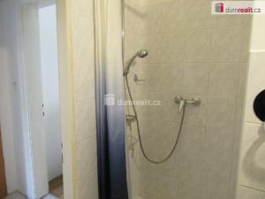 Pronájem bytu 3+kk, Praha - Vinohrady, Slezská, 65 m2