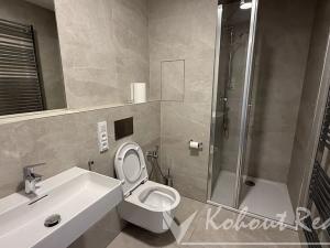 Pronájem bytu 2+kk, Praha - Dejvice, Pod Juliskou, 53 m2