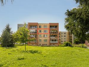 Prodej bytu 1+1, Příbor, dr. Čejky, 36 m2