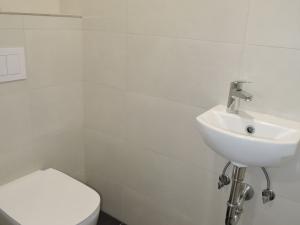 Prodej rodinného domu, Mezouň, 210 m2