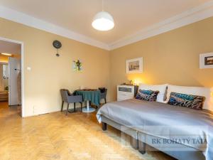 Prodej bytu 1+kk, Praha - Staré Město, Konviktská, 33 m2