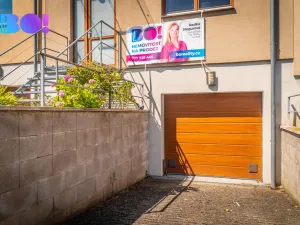 Prodej rodinného domu, Praha, Legionářů, 318 m2