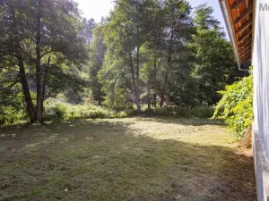 Prodej zemědělské usedlosti, Žihle - Kalec, 200 m2