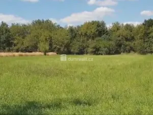 Prodej zahrady, Hranice - Hranice IV-Drahotuše, 1141 m2