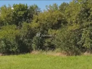 Prodej zahrady, Hranice - Hranice IV-Drahotuše, 1141 m2