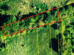 Prodej zahrady, Hranice - Hranice IV-Drahotuše, 1141 m2