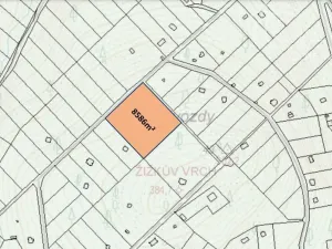 Prodej lesa, Štěchovice, 8586 m2