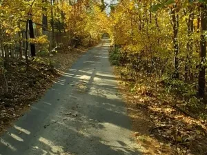 Prodej lesa, Štěchovice, 8586 m2