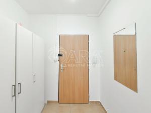 Pronájem bytu 1+kk, Praha - Záběhlice, Jabloňová, 28 m2