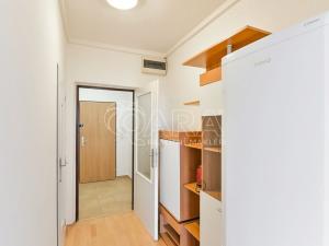 Pronájem bytu 1+kk, Praha - Záběhlice, Jabloňová, 28 m2