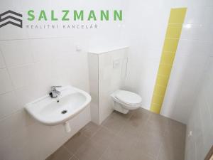 Prodej bytu 1+kk, Bublava, 24 m2