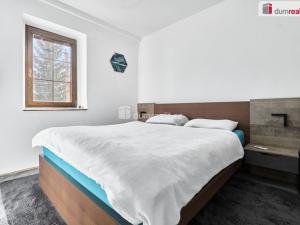 Prodej rodinného domu, Sadov, 372 m2