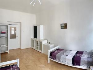 Pronájem bytu 1+1, Praha - Žižkov, Chlumova, 30 m2