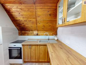 Prodej chaty, Loučná pod Klínovcem - Loučná, 124 m2