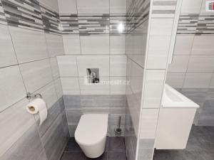 Prodej chaty, Loučná pod Klínovcem - Loučná, 124 m2