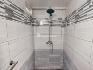 Prodej chaty, Loučná pod Klínovcem - Loučná, 124 m2