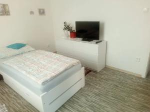 Pronájem bytu 2+kk, Starý Plzenec, Havlíčkova, 43 m2