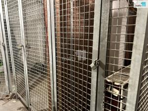 Pronájem bytu 2+kk, Praha - Michle, Adamovská, 46 m2