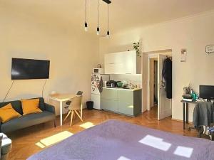 Pronájem bytu 1+kk, Praha - Žižkov, Víta Nejedlého, 30 m2