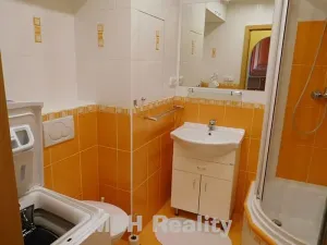 Pronájem bytu 1+1, Frýdlant nad Ostravicí, Nerudova, 36 m2