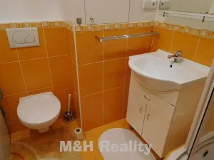 Pronájem bytu 1+1, Frýdlant nad Ostravicí, Nerudova, 36 m2