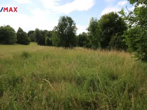 Prodej louky, Frýdlant, 25331 m2