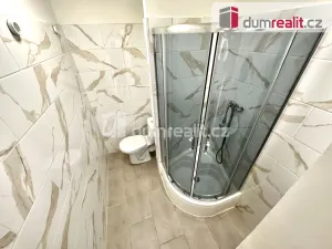 Pronájem bytu 1+kk, Ústí nad Labem - Ústí nad Labem-centrum, Hoření, 22 m2