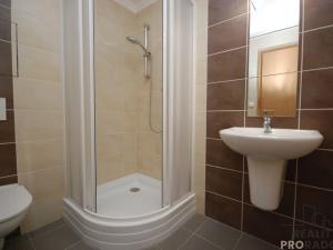 Pronájem bytu 2+kk, Brno, Svatoplukova, 27 m2