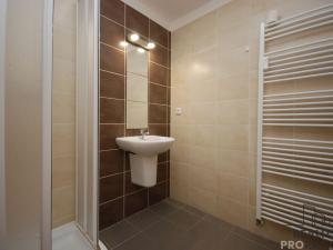 Pronájem bytu 2+kk, Brno, Svatoplukova, 27 m2