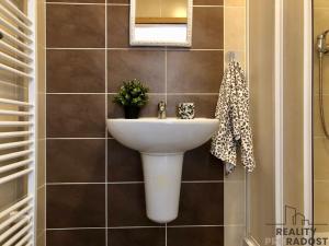 Pronájem bytu 1+kk, Brno, Svatoplukova, 27 m2