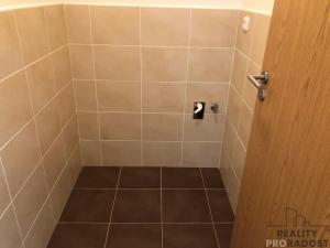 Pronájem bytu 1+kk, Brno, Svatoplukova, 27 m2