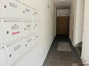 Pronájem bytu 1+kk, Brno, Svatoplukova, 27 m2