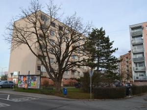 Pronájem bytu 1+1, Roudnice nad Labem, Neklanova, 35 m2