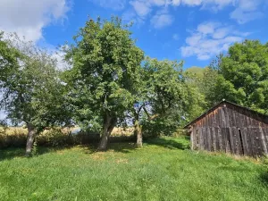 Prodej rodinného domu, Mnich, 100 m2