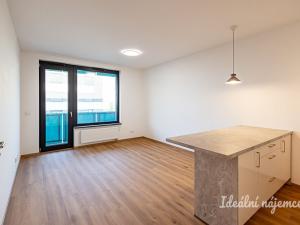 Pronájem bytu 2+kk, Praha - Žižkov, Olgy Havlové, 45 m2