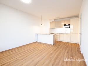 Pronájem bytu 2+kk, Praha - Žižkov, Olgy Havlové, 45 m2