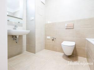 Pronájem bytu 2+kk, Praha - Žižkov, Olgy Havlové, 45 m2