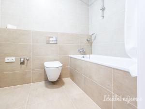 Pronájem bytu 2+kk, Praha - Žižkov, Olgy Havlové, 45 m2