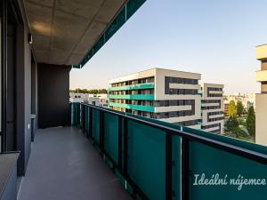 Pronájem bytu 2+kk, Praha - Žižkov, Olgy Havlové, 45 m2