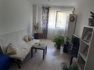 Pronájem bytu 2+kk, Brno, Gajdošova, 49 m2