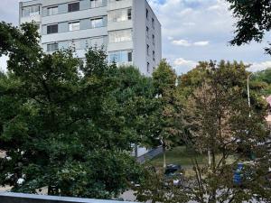 Prodej bytu 3+1, Žatec, Příkrá, 68 m2