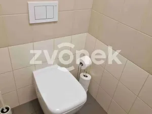 Pronájem kanceláře, Otrokovice, 100 m2
