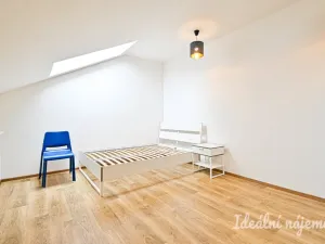 Pronájem bytu 1+kk, Brno, Cejl, 31 m2