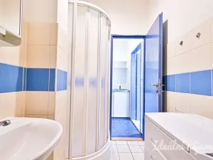 Pronájem bytu 1+kk, Brno, Cejl, 31 m2
